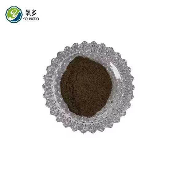 Thức ăn cá xay nhiều protein - Sự lựa chọn tốt cho dinh dưỡng của thú cưng