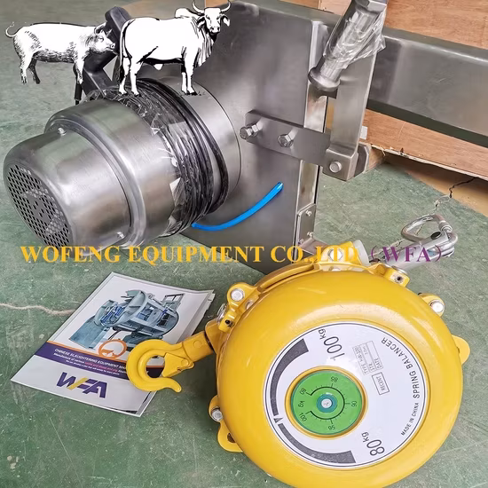 Máy giết mổ heo chất lượng cao, thiết bị chế biến thịt heo hiệu quả, cưa phân nửa thân heo cho máy chế biến thịt heo
