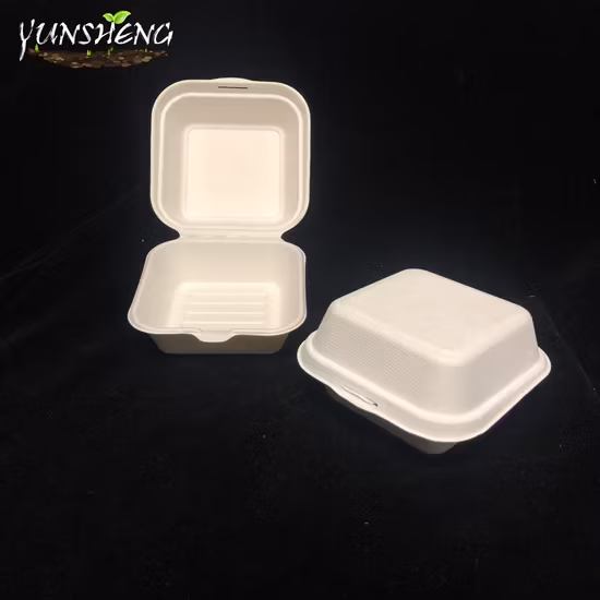 Hộp đựng cơm sinh học một lần từ tre hoặc bã mía, là lựa chọn hoàn hảo cho bữa tối và đồ ăn mang đi