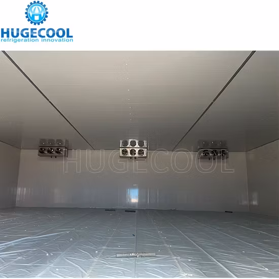 Tủ đông phòng lạnh chất lượng cao với hệ thống bảo quản lạnh cho giá trị lưu trữ tối ưu