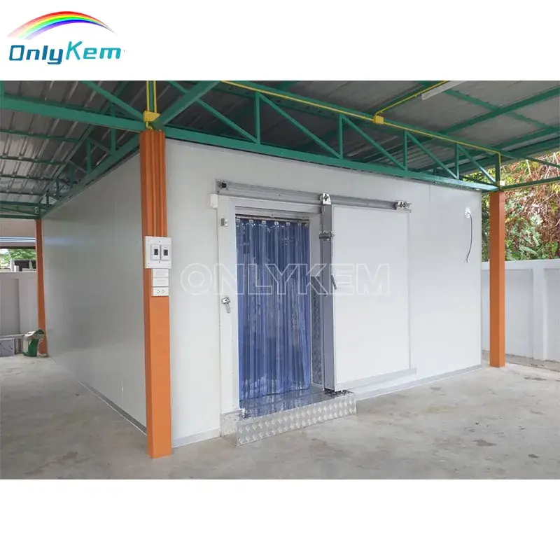 Giải pháp lưu trữ thực phẩm tối ưu cho nhà hàng: Phòng lạnh bếp và Tủ lạnh đi bộ chuyên dụng