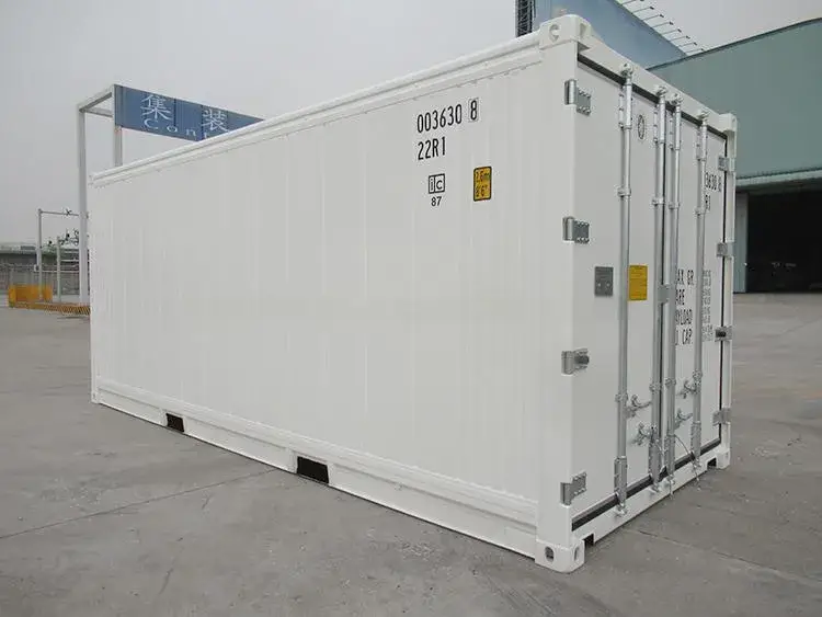Phòng lạnh container với lớp cách nhiệt đặc biệt và cửa swing hiện đại