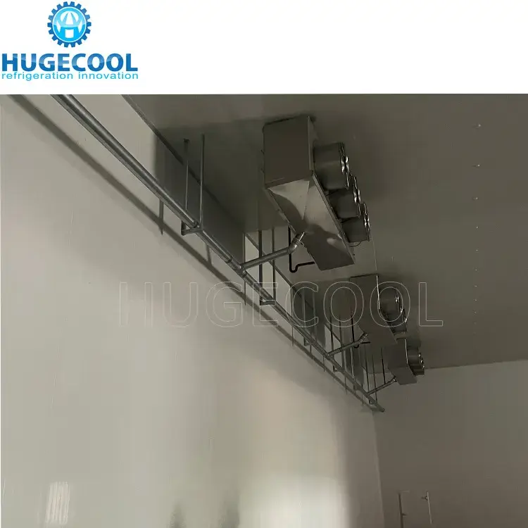 Tủ đông phòng lạnh chất lượng cao với hệ thống bảo quản lạnh cho giá trị lưu trữ tối ưu