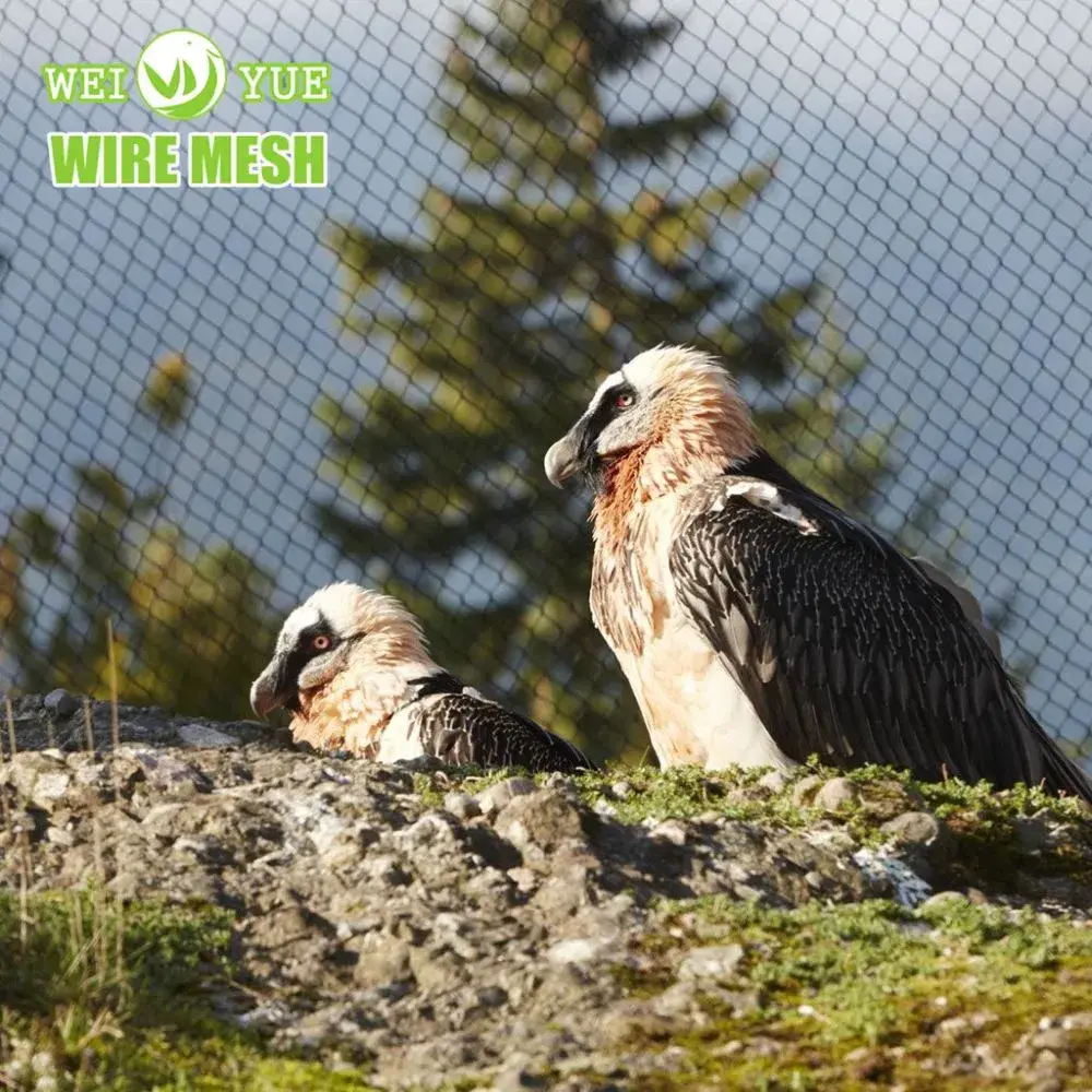 Dây cáp bảo vệ cho vỏ Lưới Aviary, sử dụng thép không gỉ an toàn cho động vật
