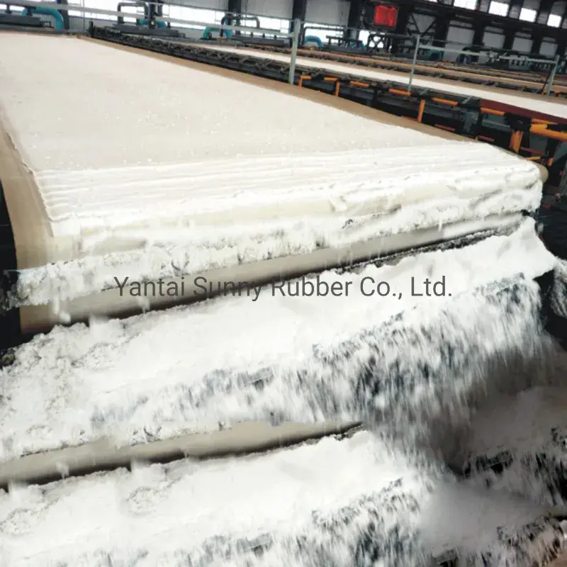 Băng lọc EPDM chất lượng cao dành cho xử lý nước trong nhà máy sản xuất phosphate