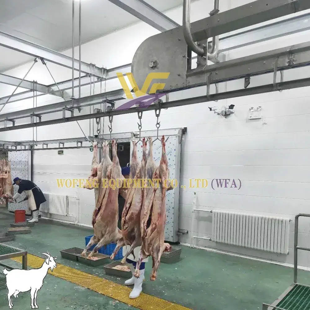 Dây chuyền giết mổ cừu hàng ngày cho lò mổ dê - Dịch vụ chất lượng từ máy móc lò mổ thịt cừu