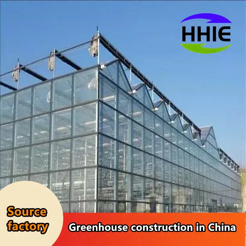 Nhà máy sản xuất nhà kính hiện đại dành cho việc xuất khẩu vào thị trường Đông Nam Á