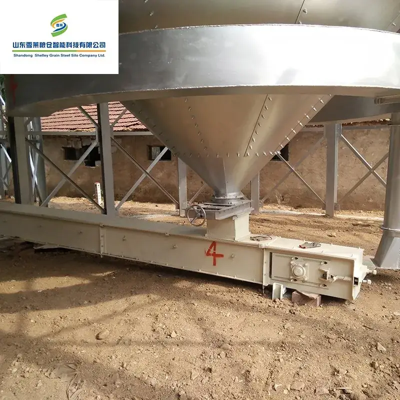 Thiết bị băng tải kéo hạt chất lượng cao cho ngũ cốc, lúa mì, ngô, lúa, gạo