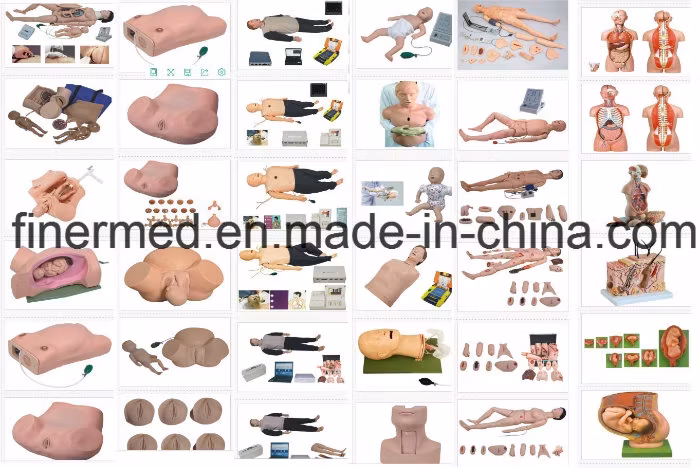 Mô hình đào tạo kỹ năng cấp cứu CPR ACLS: Đào tạo chuyên sâu về kỹ năng cấp cứu hình ảnh 6-description