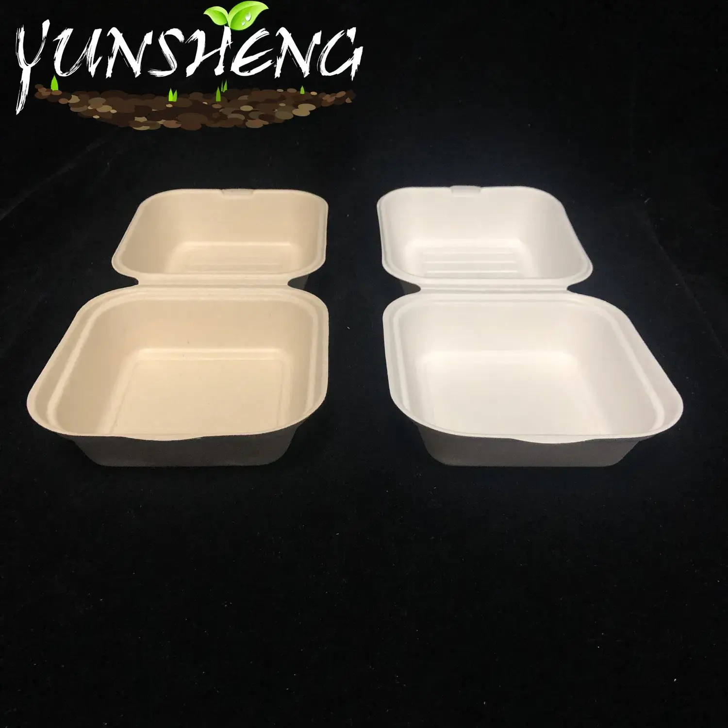 Hộp đựng cơm sinh học một lần từ tre hoặc bã mía, là lựa chọn hoàn hảo cho bữa tối và đồ ăn mang đi