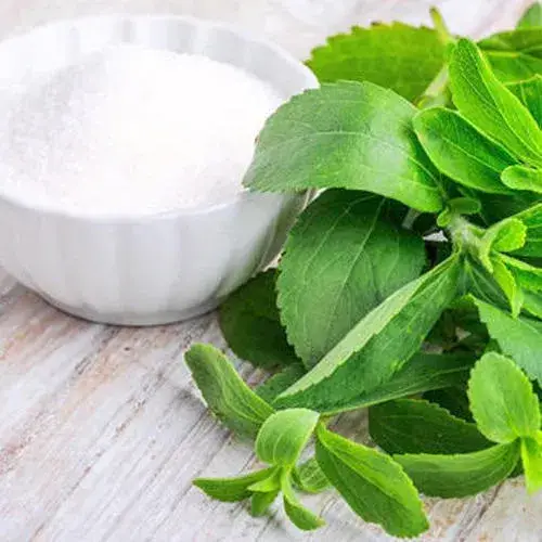 Bột chiết xuất lá Stevia nguyên chất, tinh khiết với hàm lượng Stevioside 98%