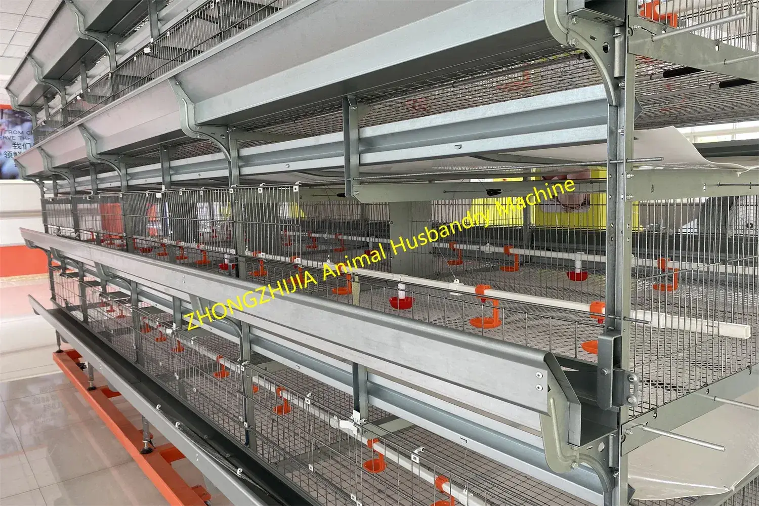 Loại chuồng gà tự động mạ kẽm nóng, thiết kế hiện đại cho việc nuôi gà đẻ trứng và gà thịt