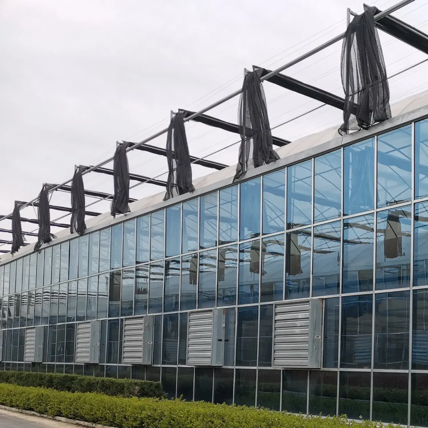 Giải pháp kính nông nghiệp toàn diện cho việc trồng trái cây