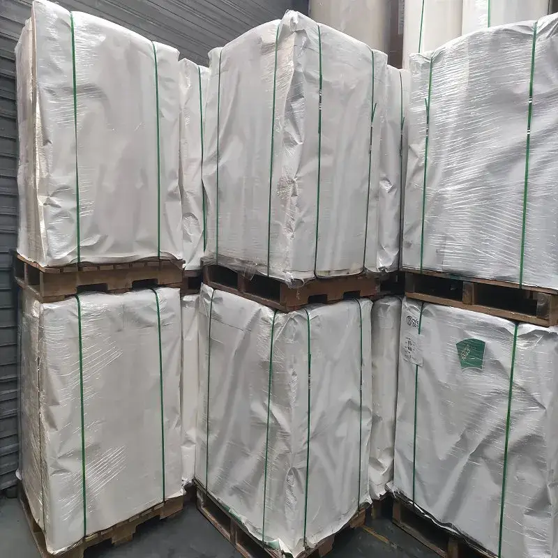 Cốc giấy quạt phủ PE - Giải pháp chống thấm nước hiệu quả từ chất liệu cao cấp