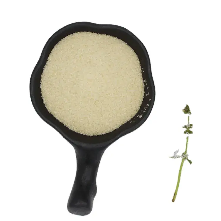Chất lượng cao Bột Gelatin Halal CAS 9000-70-8 từ Thịt Bò, 220bloom 20mesh - Mua Ngay