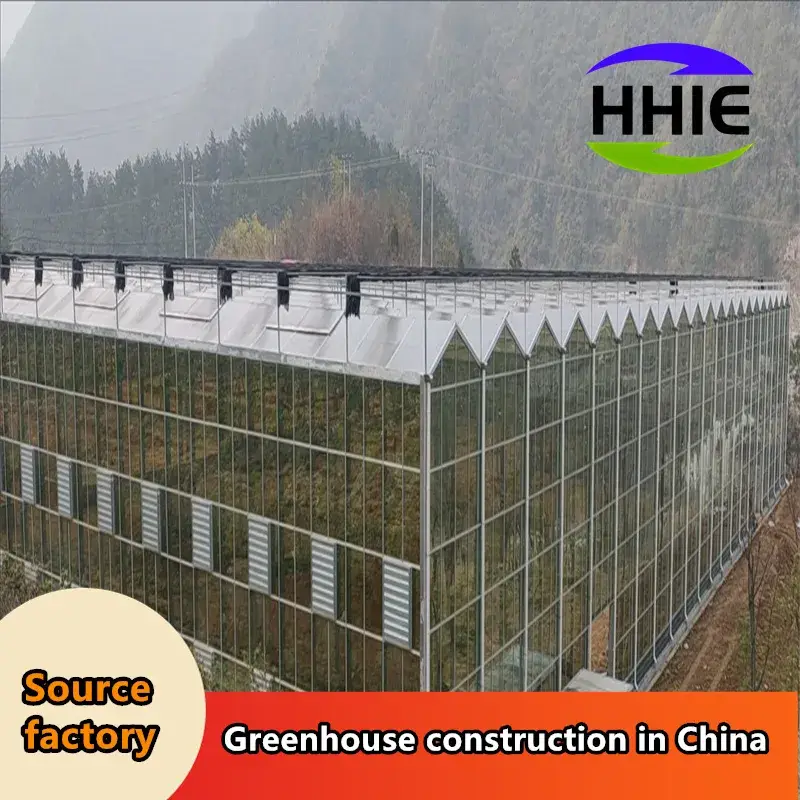 Nhà máy sản xuất nhà kính hiện đại dành cho việc xuất khẩu vào thị trường Đông Nam Á