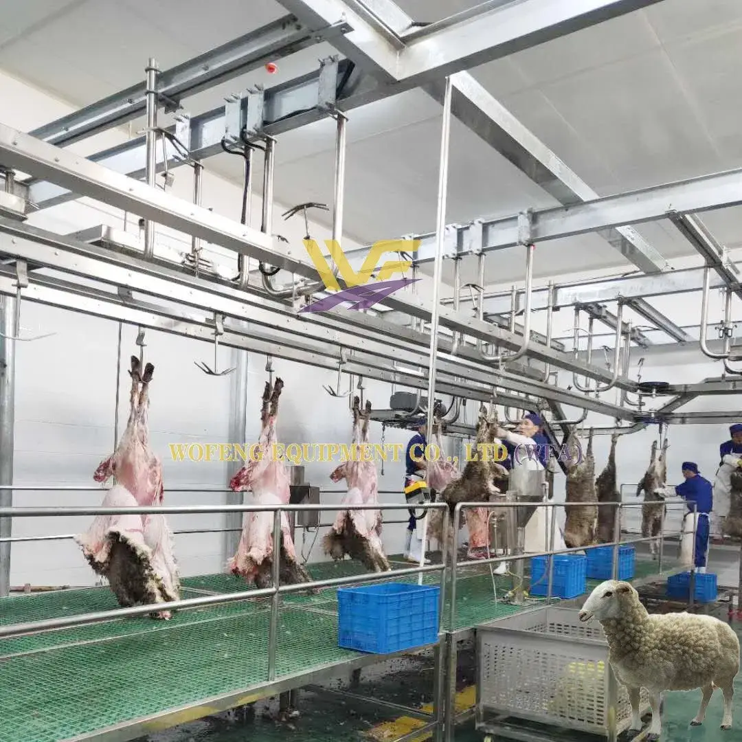 Dây chuyền giết mổ cừu hàng ngày cho lò mổ dê - Dịch vụ chất lượng từ máy móc lò mổ thịt cừu