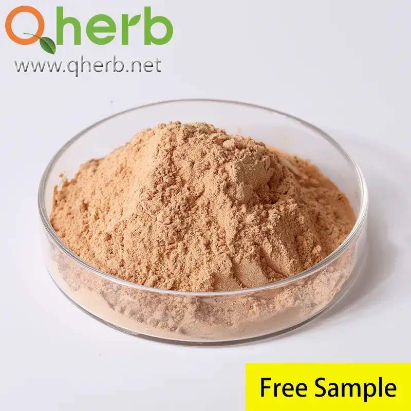 Chiết Xuất Đậu Nành Tự Nhiên, 40% Isoflavones, Phương Pháp Chiết Xuất Bằng HPLC Từ Mầm Đậu Nành