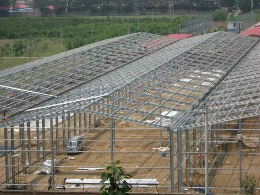 Thi công xưởng kết cấu thép chuyên nghiệp, uy tín và bền vững