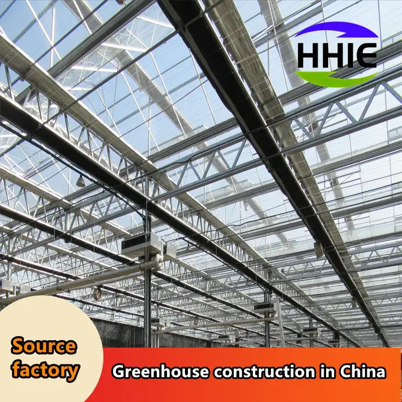 Nhà máy sản xuất nhà kính hiện đại dành cho việc xuất khẩu vào thị trường Đông Nam Á