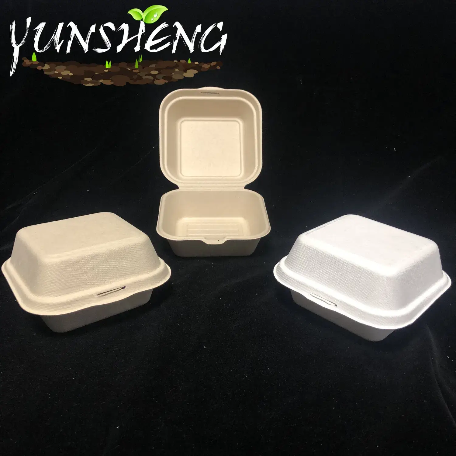 Hộp đựng cơm sinh học một lần từ tre hoặc bã mía, là lựa chọn hoàn hảo cho bữa tối và đồ ăn mang đi