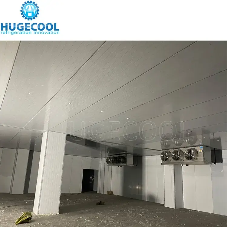 Tủ đông phòng lạnh chất lượng cao với hệ thống bảo quản lạnh cho giá trị lưu trữ tối ưu