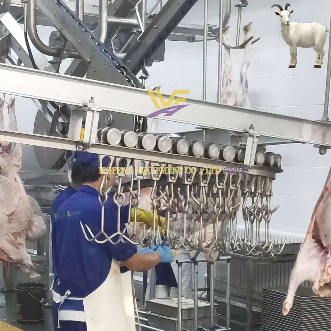 Dây chuyền giết mổ cừu hàng ngày cho lò mổ dê - Dịch vụ chất lượng từ máy móc lò mổ thịt cừu