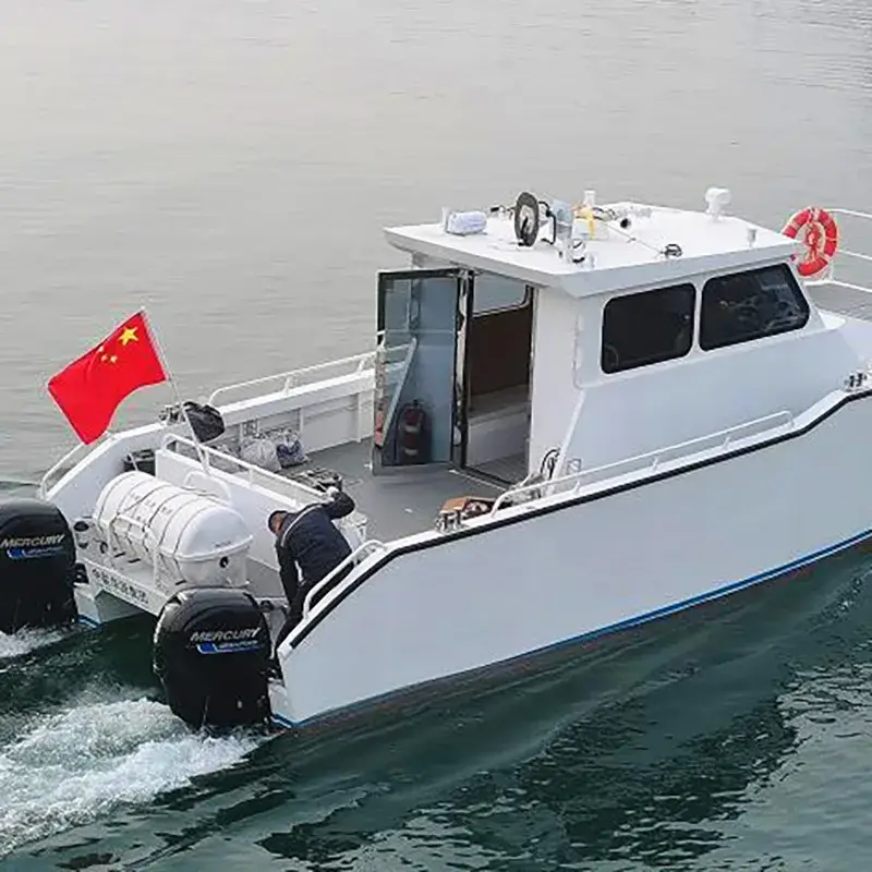 Thuyền Catamaran Hợp Kim Nhôm 9.8m - Tùy Chỉnh và Bán với Ưu Đãi Hấp Dẫn