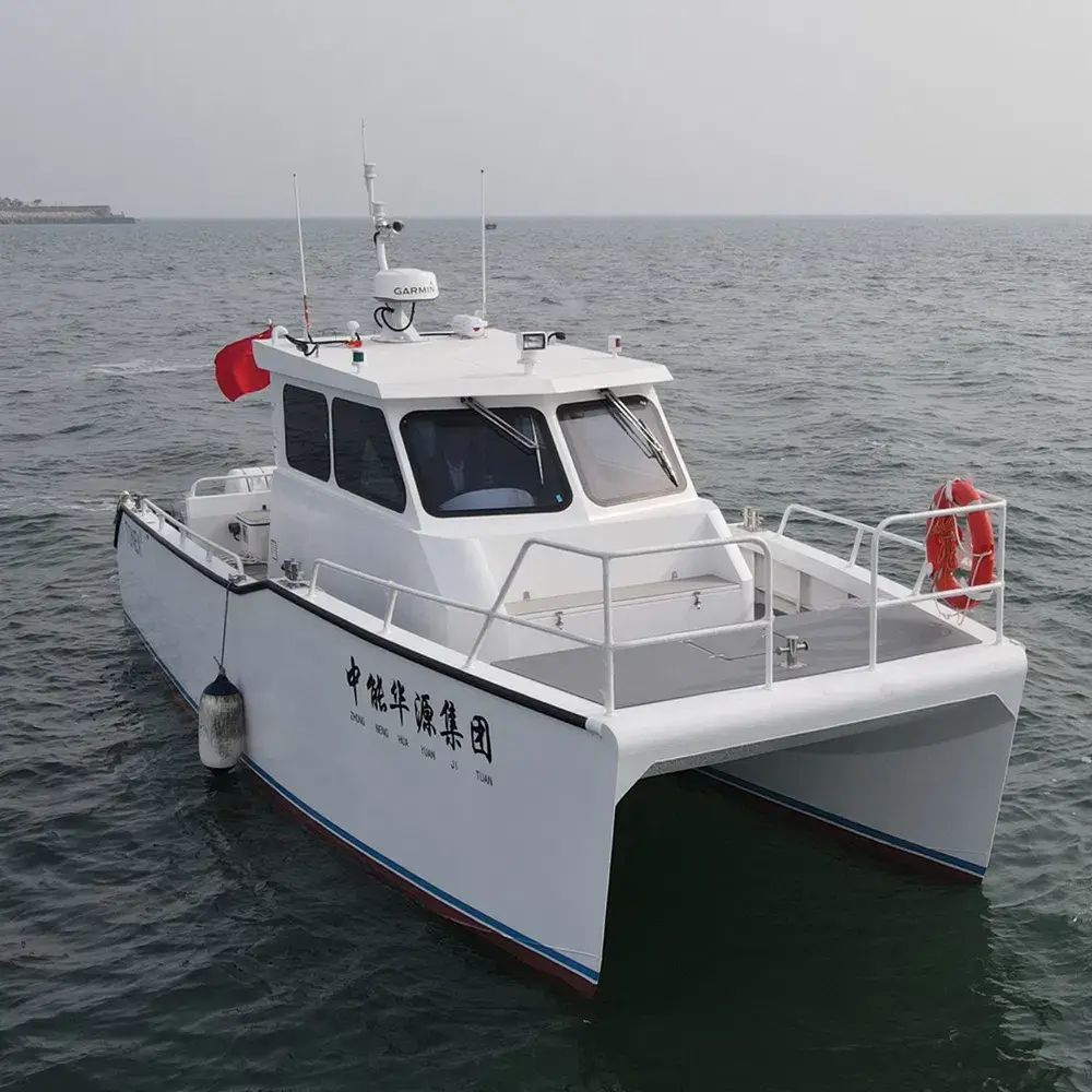 Thuyền Catamaran Hợp Kim Nhôm 9.8m - Tùy Chỉnh và Bán với Ưu Đãi Hấp Dẫn