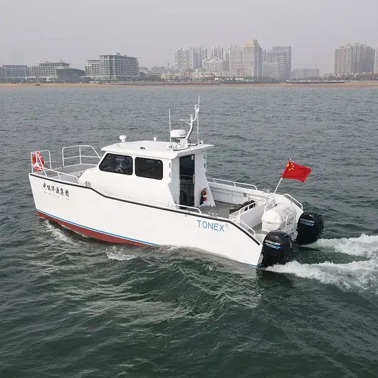 Thuyền Catamaran Hợp Kim Nhôm 9.8m - Tùy Chỉnh và Bán với Ưu Đãi Hấp Dẫn