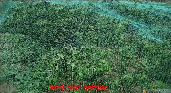 Lưới vườn chất lượng cao cho các công trình nông nghiệp