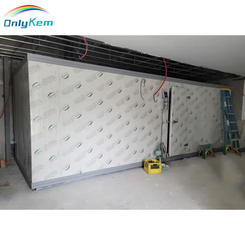 Giải pháp lưu trữ thực phẩm tối ưu cho nhà hàng: Phòng lạnh bếp và Tủ lạnh đi bộ chuyên dụng