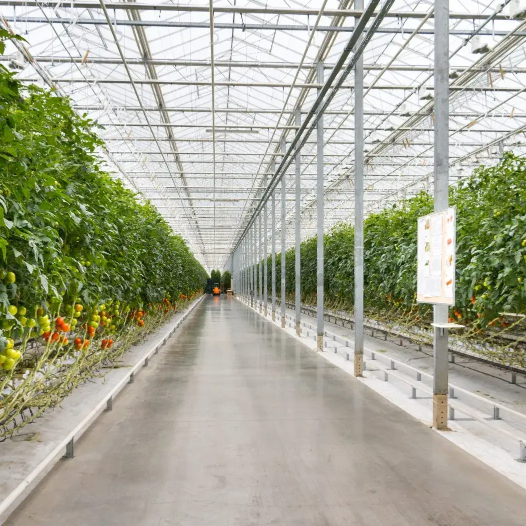 Nền Nhà kính bằng kính chịu lực tạo không gian trống lớn