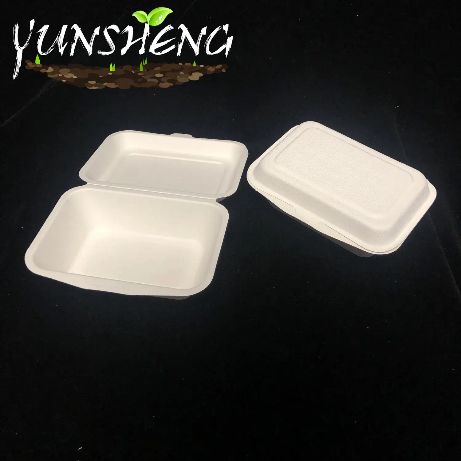 Hộp đựng cơm sinh học một lần từ tre hoặc bã mía, là lựa chọn hoàn hảo cho bữa tối và đồ ăn mang đi
