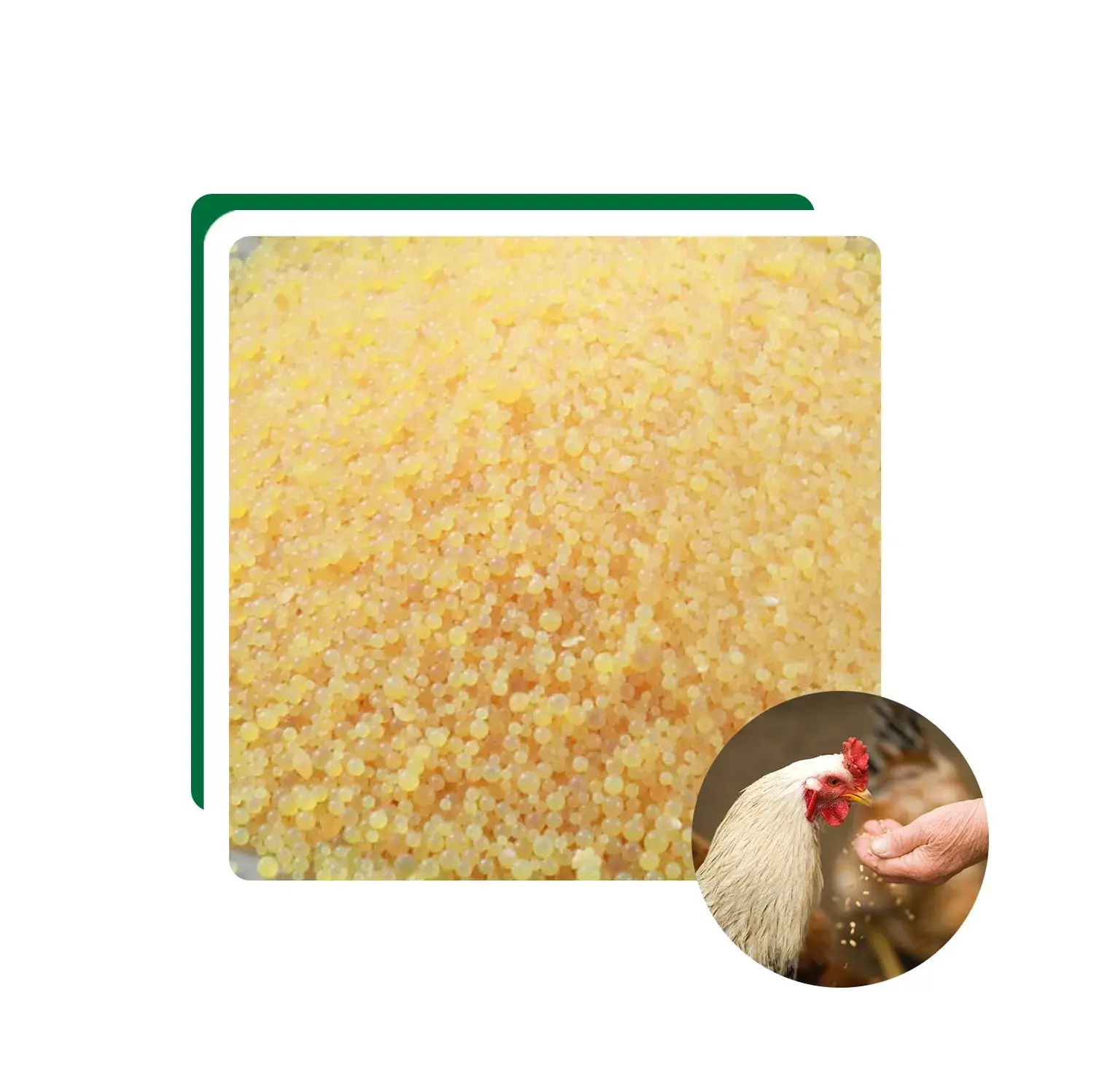 Bột Polifar chứa vitamin A chất lượng cao cho sức khỏe tốt