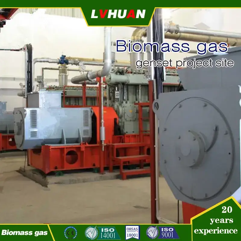 300kw -500kw Máy phát điện khí sinh học với 500/600rpm Tốc độ thấp và sự cố thấp
