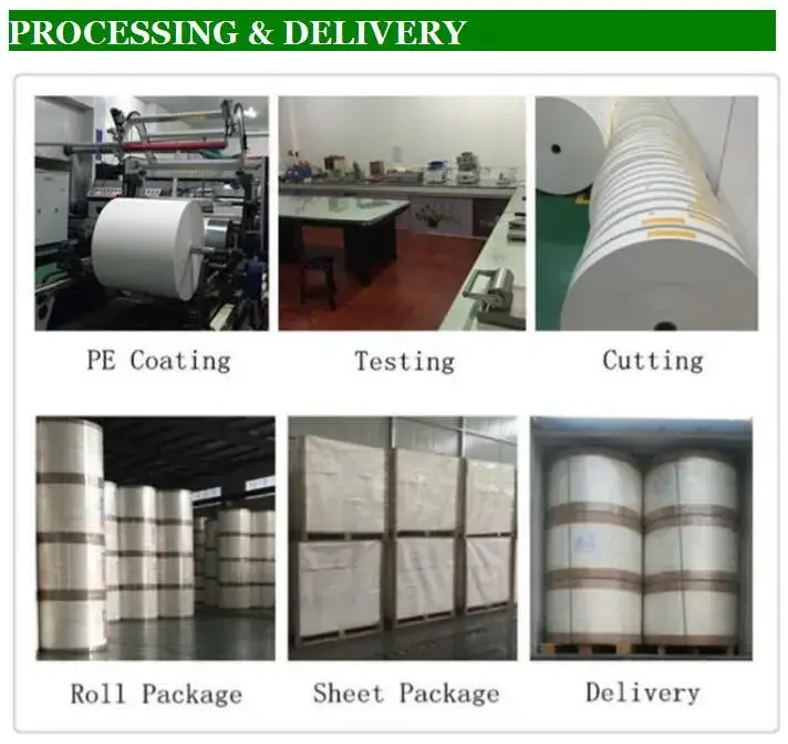 Giấy cốc phủ PE Star - Sự lựa chọn hoàn hảo cho đồ uống nóng và lạnh hình ảnh 13-description