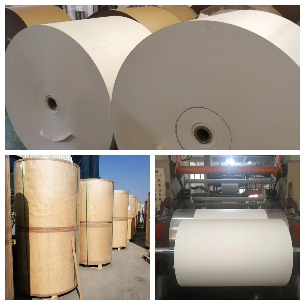 Giấy cốc phủ PE Star - Sự lựa chọn hoàn hảo cho đồ uống nóng và lạnh hình ảnh 14-description