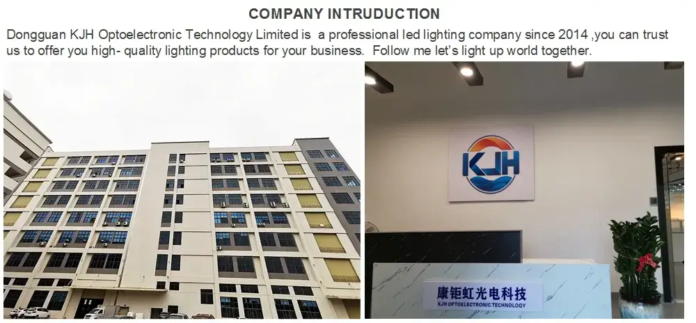 Bóng Đèn LED G4 Thông Minh Điều Khiển Từ Xa Cho Chiếu Sáng Ngoại Thất hình ảnh 20-description