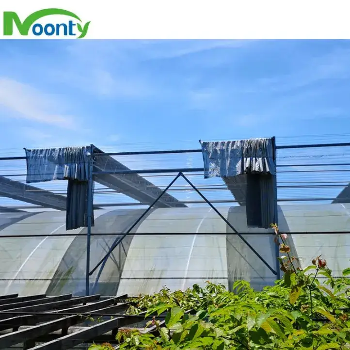 Giải pháp thủy canh hiện đại trong nhà kính nông nghiệp đa gian