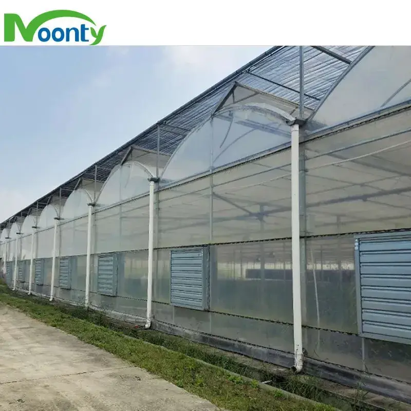 Giải pháp thủy canh hiện đại trong nhà kính nông nghiệp đa gian