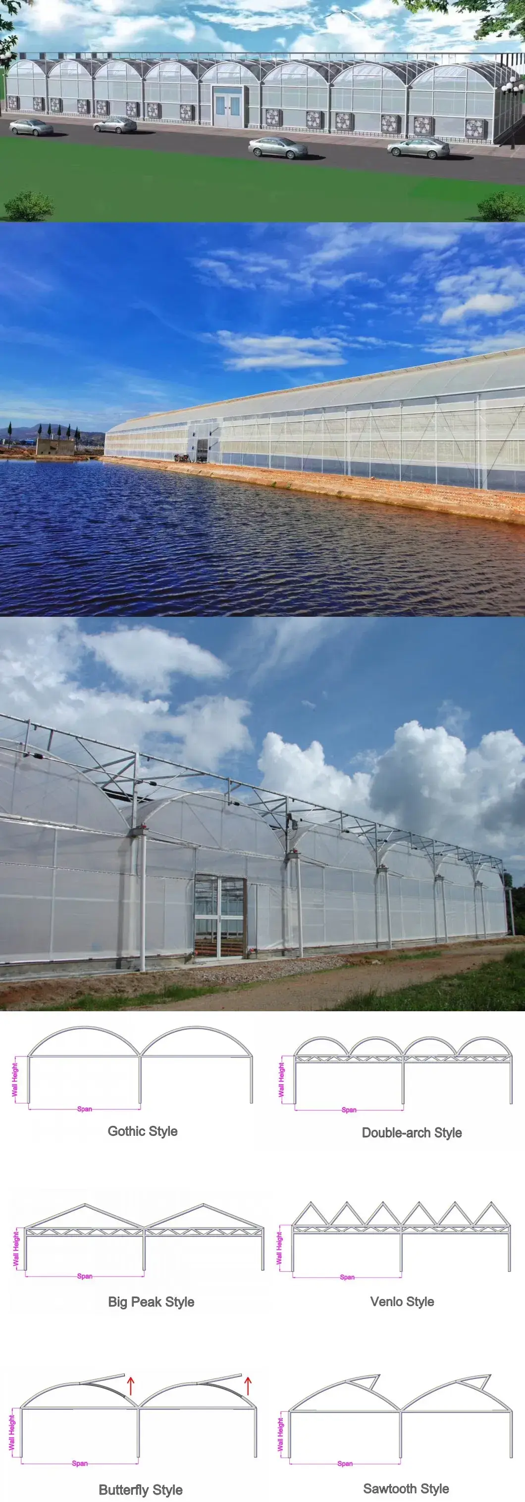 Giải pháp thủy canh hiện đại trong nhà kính nông nghiệp đa gian hình ảnh 13-description