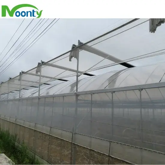 Giải pháp thủy canh hiện đại trong nhà kính nông nghiệp đa gian