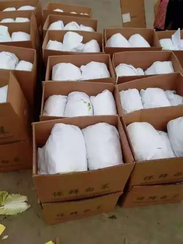 Bắp cải tươi nhập khẩu từ Trung Quốc - lựa chọn hàng đầu cho món nấu ăn ngon và bổ dưỡng hình ảnh 16-description