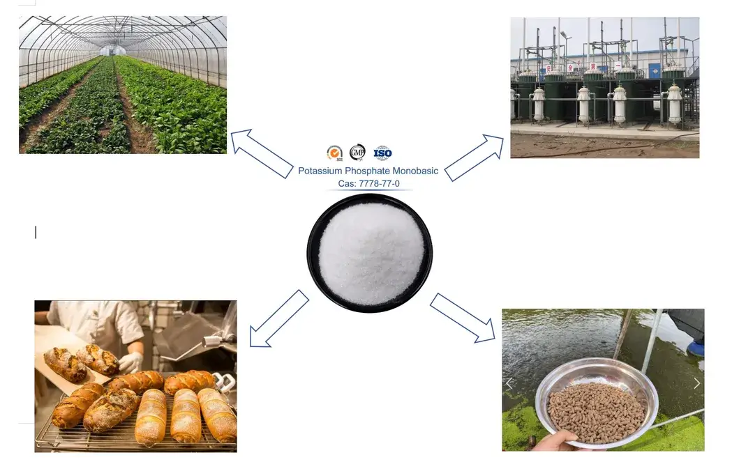 Monopotassium Phosphate MKP 98% - Giải pháp hiệu quả cho sản xuất nông nghiệp hình ảnh 13-description