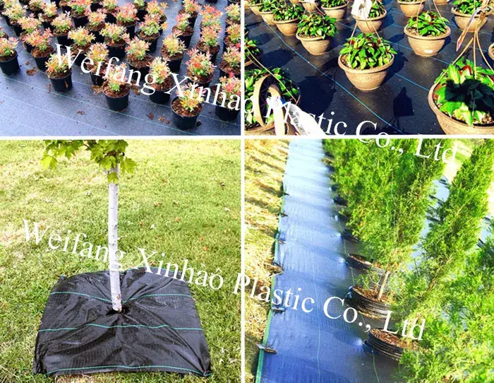 Vải Che Cỏ Đen Chống Lão Hóa từ 100% PP Nguyên Chất - Sản Phẩm Uy Tín và An Toàn hình ảnh 13-description