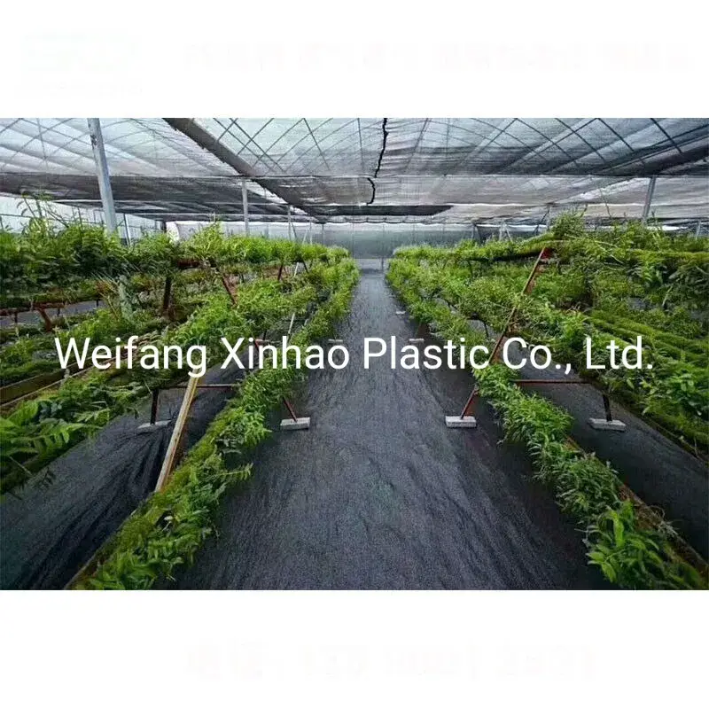 Vải Che Cỏ Đen Chống Lão Hóa từ 100% PP Nguyên Chất - Sản Phẩm Uy Tín và An Toàn