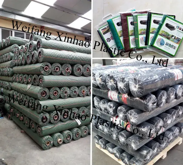 Vải Che Cỏ Đen Chống Lão Hóa từ 100% PP Nguyên Chất - Sản Phẩm Uy Tín và An Toàn hình ảnh 15-description