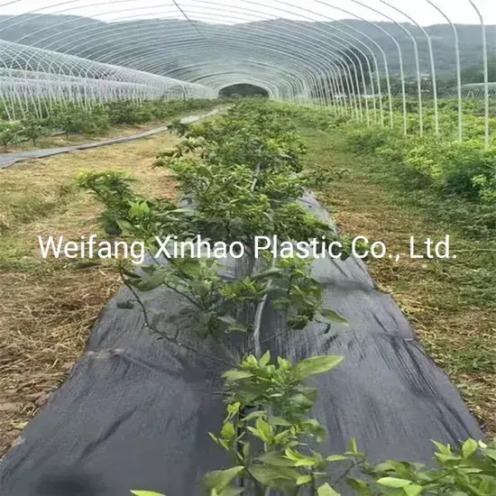 Vải Che Cỏ Đen Chống Lão Hóa từ 100% PP Nguyên Chất - Sản Phẩm Uy Tín và An Toàn