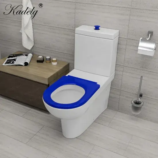 Bồn cầu gốm đôi chuyên dùng cho người khuyết tật, phong cách thiết kế phù hợp với tiêu chuẩn Úc hình ảnh 1-description